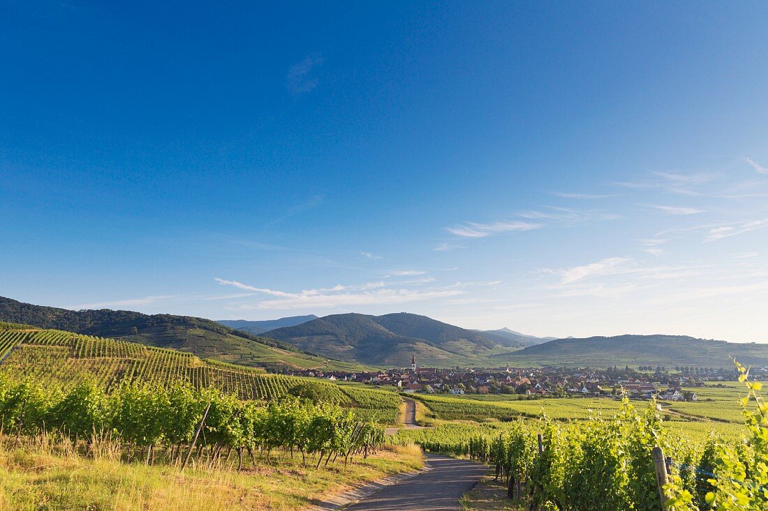 Blick auf die Ortschaft Ammerschwihr, Elsass