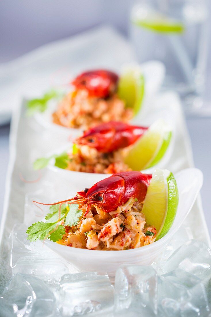 Crayfish salad with coriander and lime on ice