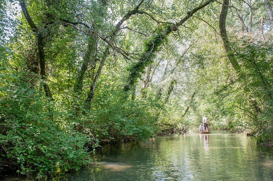 Naturschutzgebiet Le Grand Ried, Kahnfahrt durch die Insel Rhinau, Elsass