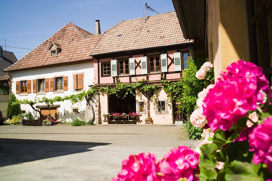 Der Innenhof des Domaine Pierre Frick, einem der Wegbereiter des ökologischen Weinbaus im Elsass