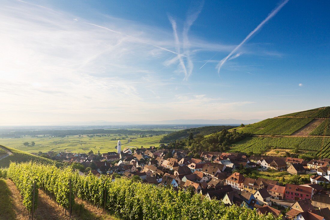 A view over Katzenthal from Burg Wineck, Alsace