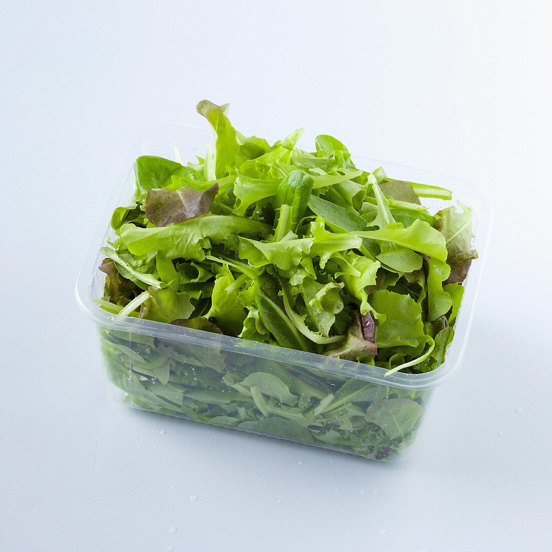 Blattsalat im Plastikschälchen