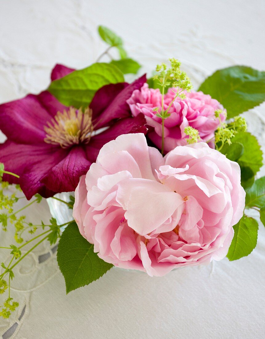 Rosafarbene Pfingstrosen und Clematis in Vase