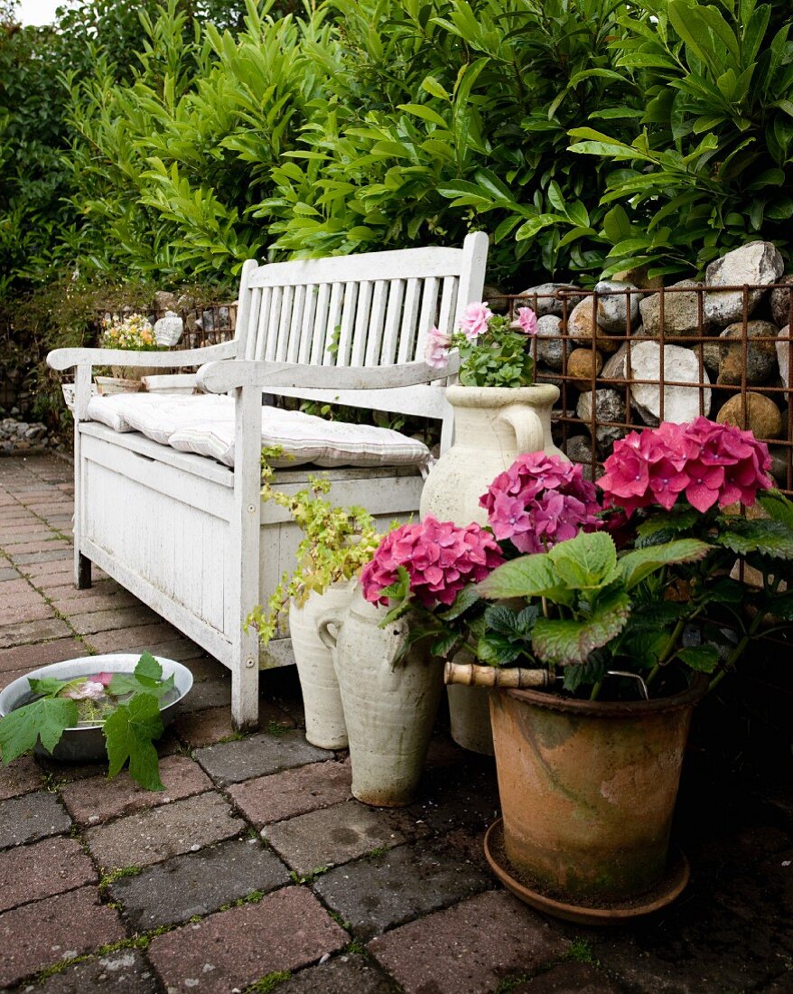 Pinkfarbene Hortensie im Topf neben weisser Holzsitzbank mit Polstern vor Gabionenzaun im Garten