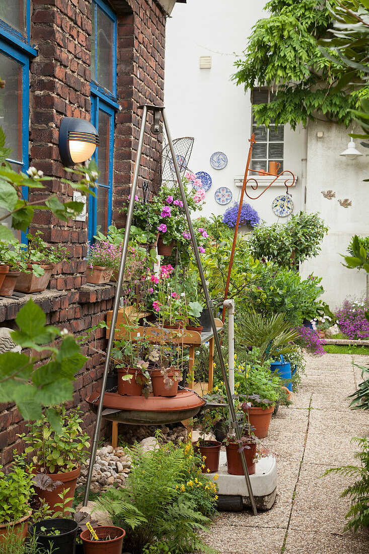 Potted plants against old brick building with blue-painted window frames