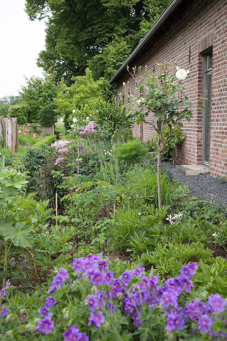 Angelegter Garten vor Ziegelhaus