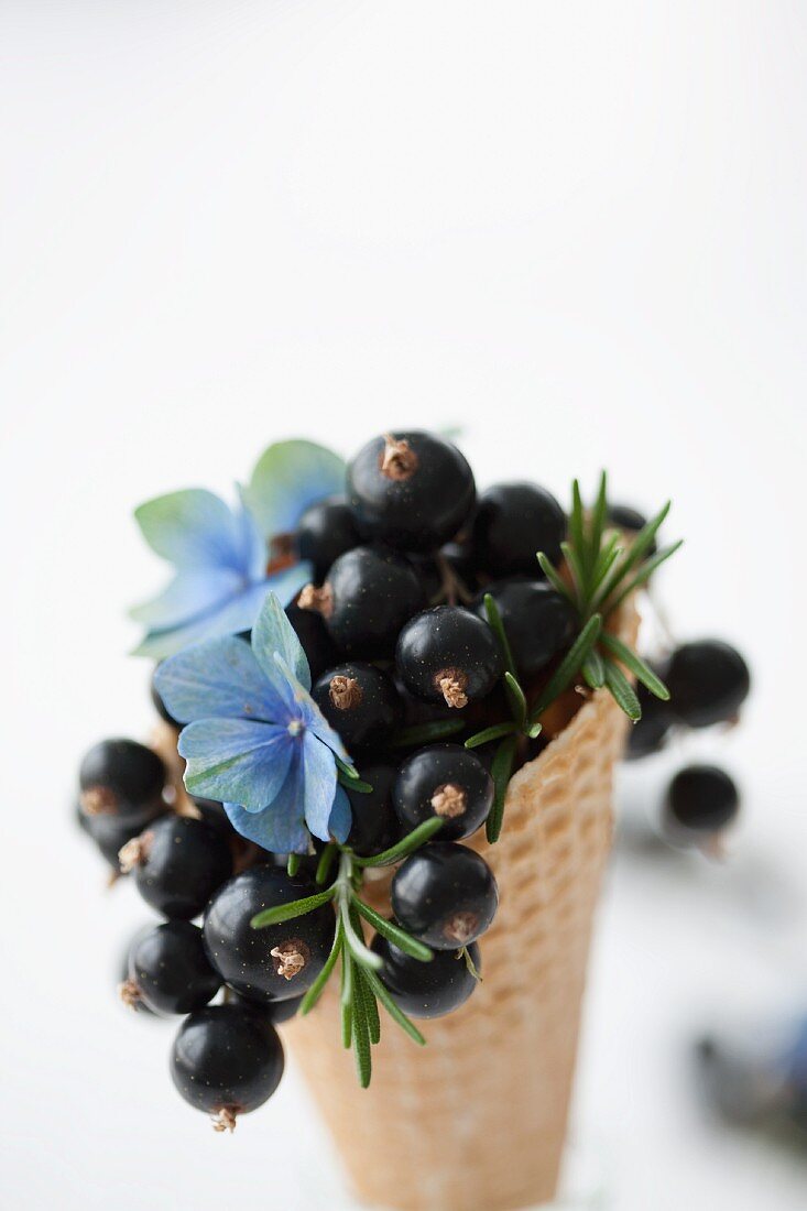 Eiswaffel mit schwarzen Johannisbeeren, Hortensienblüte und Rosmarin