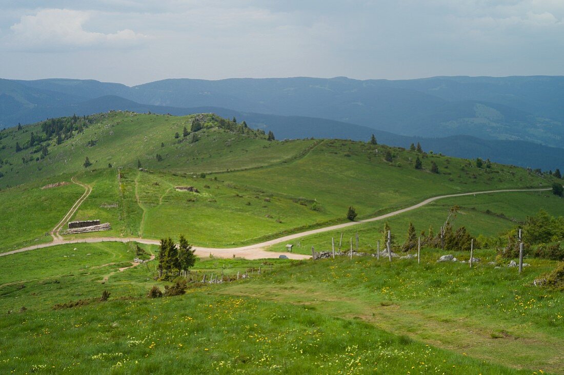 Wanderung, Le Petit Ballon, Vogesen, Munstertal, Elsass, Frankreich