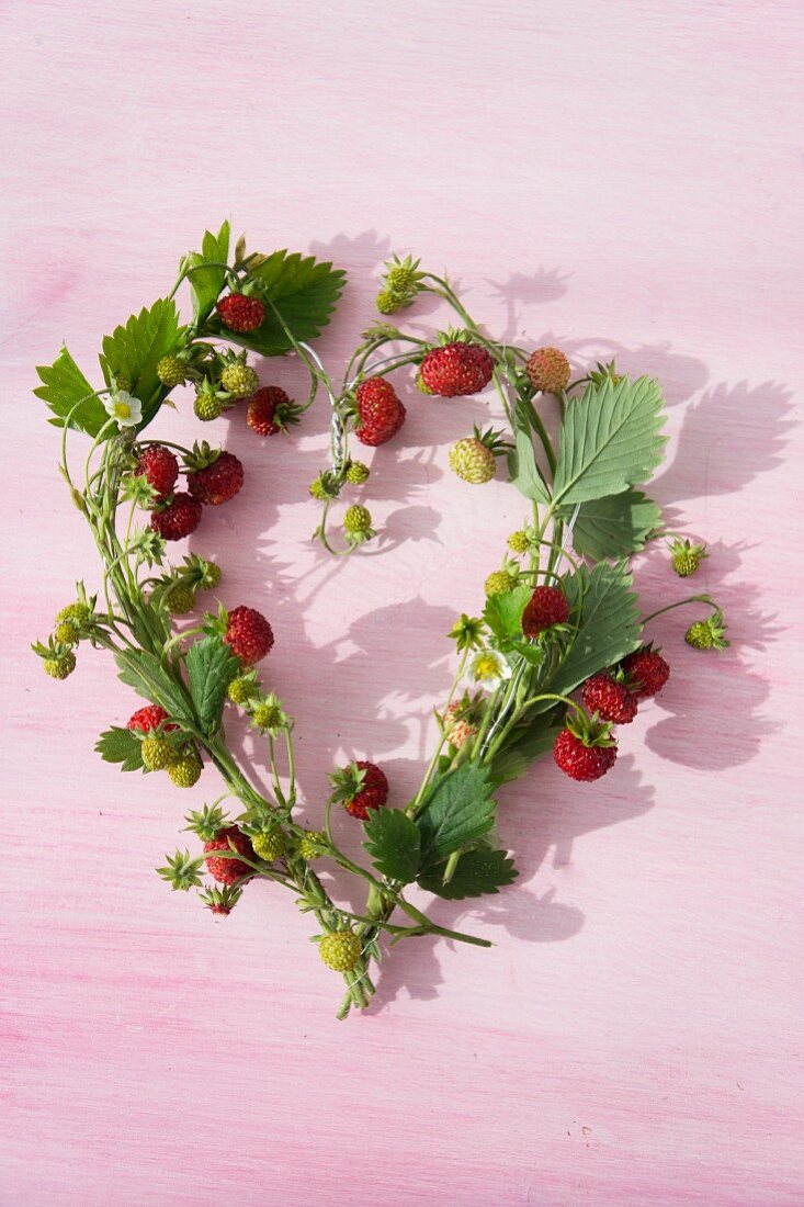 A heart-shaped wreath of wild strawberries and leaves tied and wrapped around a piece of wire