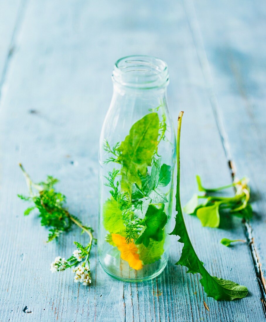 Zutaten für grüne Smoothies: frische Kräuter und Blüten in einer Glasflasche