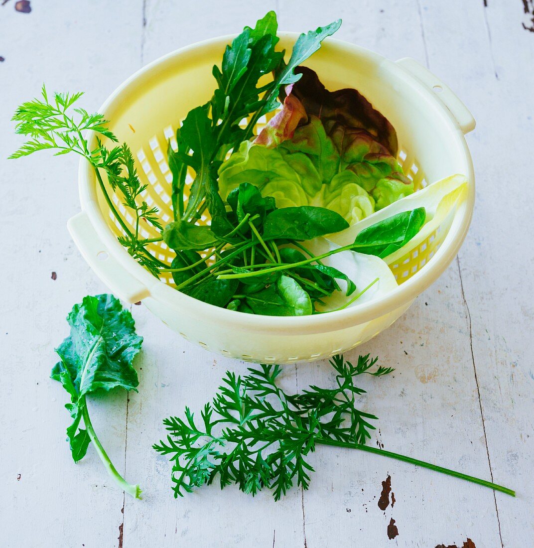Zutaten für grüne Smoothies: Blattsalate und Kräuter