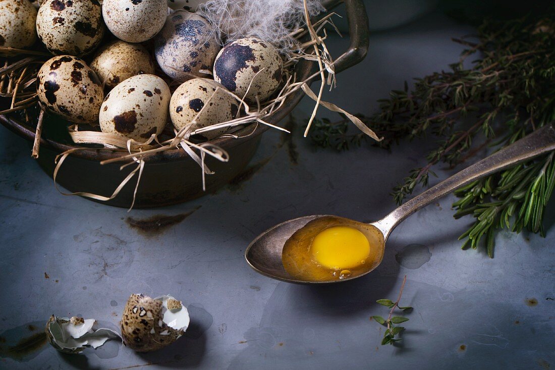 Quail eggs in vintage bowl lined with straw and feathers with an egg yolk on spoon next to it