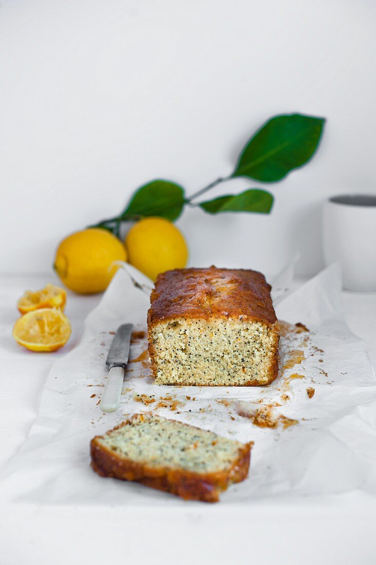 Lemon and poppy seed cake on a baking paper with a knife and fresh lemons