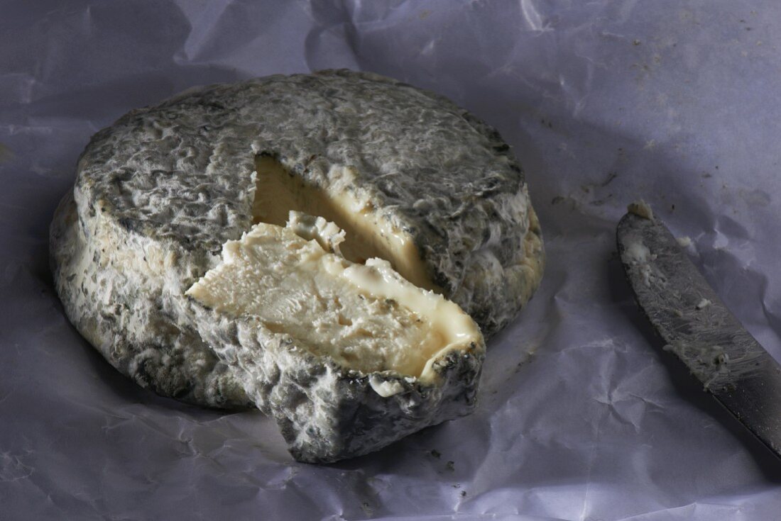 Angeschnittener Käse der Sorte Selles sur Cher (Ziegenkäse, Frankreich)