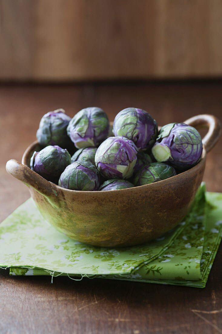 Purple Redarling Brussels sprouts