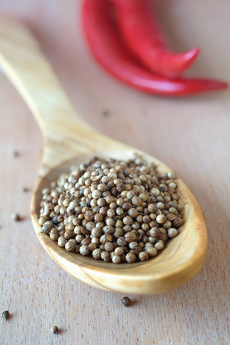 Coriander seeds on a wooden spoon in front of a chilli pepper