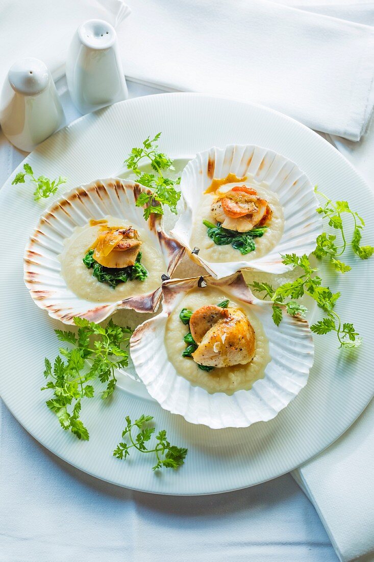 Scallops on a bed of celery purée with spinach