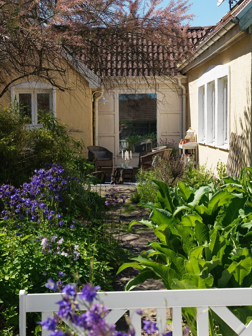 Wicker armchairs on terrace against house façade and flowering aquilegia in summer garden