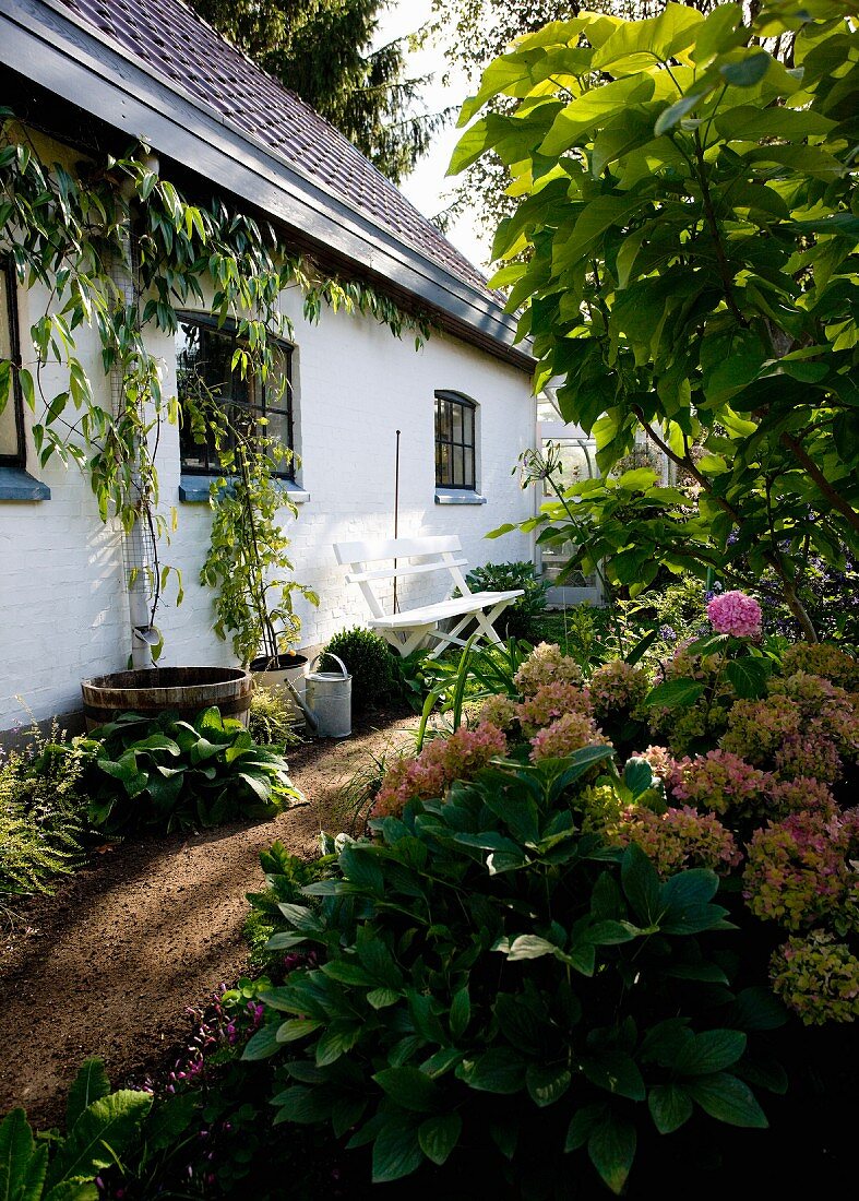 Narrow garden path lined with plants next to house