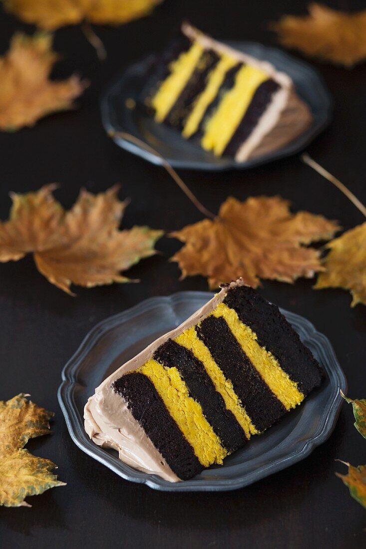 Zwei Stücke Schokoladen-Kürbis-Torte auf einem dunklen Hintergrund mit Herbstlaub