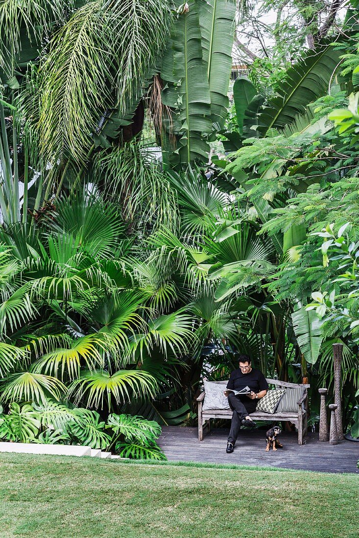 Idyllic seat, man on wooden bench, under large palm trees in a tropical garden