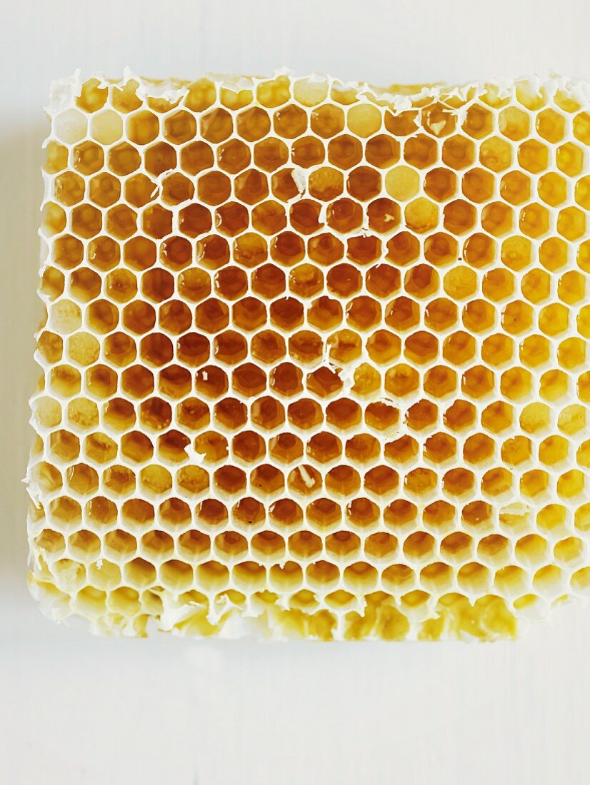 Eine Honigwabe vor weißem Hintergrund (Aufsicht)