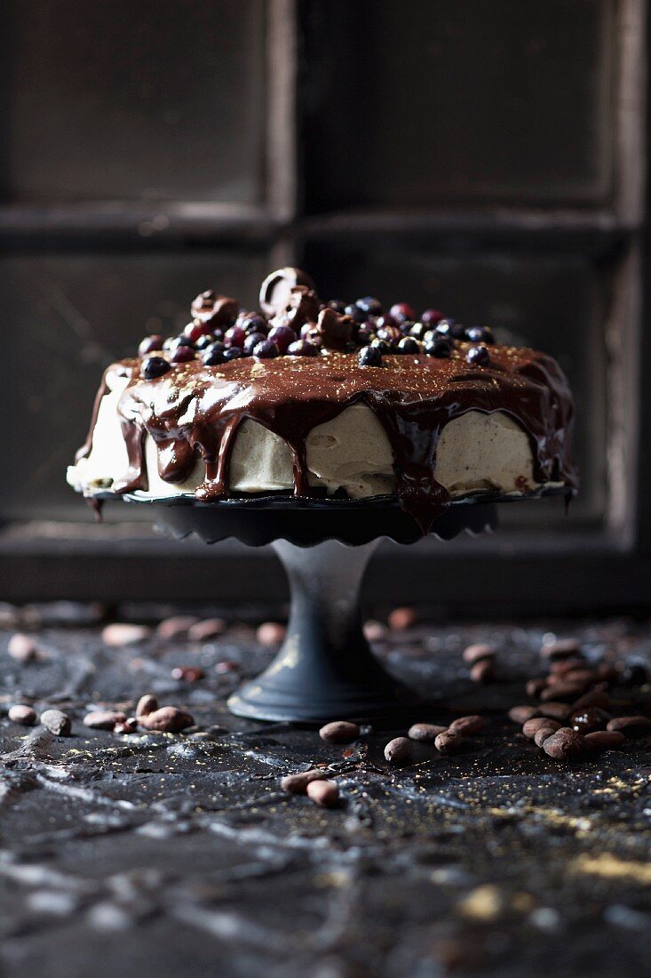 Dunkler Schokoladenkuchen mit Zuckerglasur, Schokoladenglasur und Kakaonibs