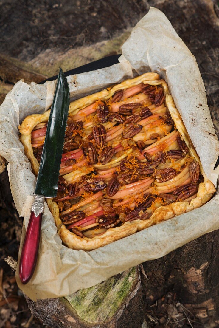 Apfelkuchen mit Pecannüssen