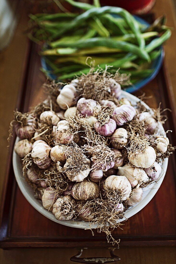 Garlic and beans head chef Sean Moran's kitchen, Bilpin