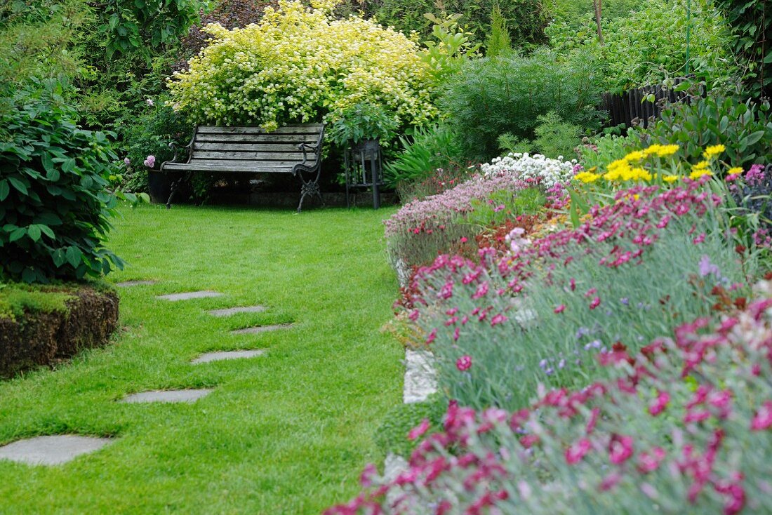 Verschiedene, blühende Blumen in sommerlichem Garten (im Voredergrund gewöhnliche Katzenpfötchen, hinter der Bank Spiere), seitlich Trittplatten als Weg in gemähter Rasenfläche