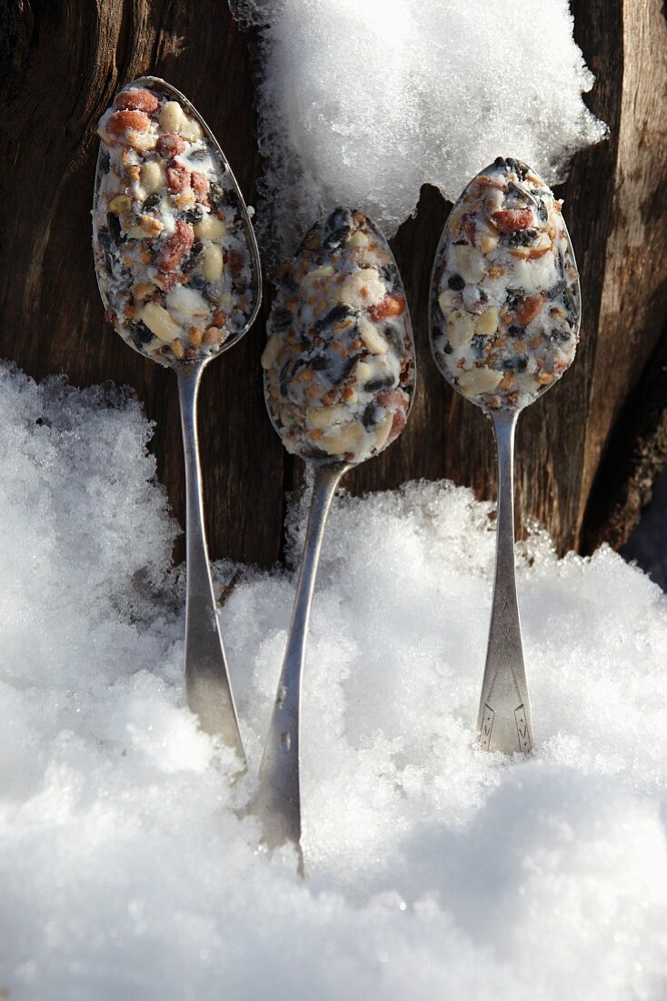 Birdcake moulded onto old spoons