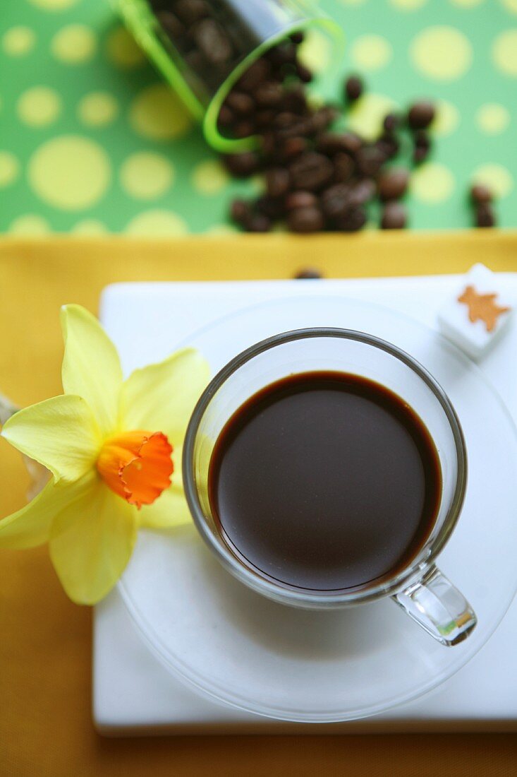 An espresso in a glass cup with a daffodil