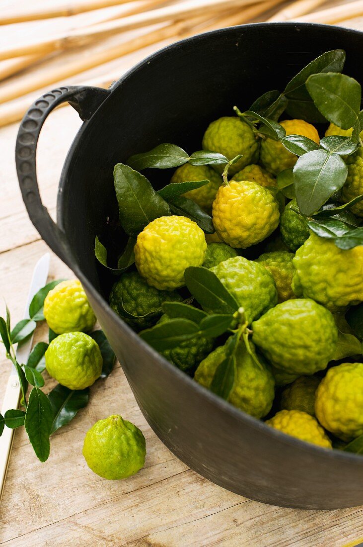 Kaffir limes in a bucket