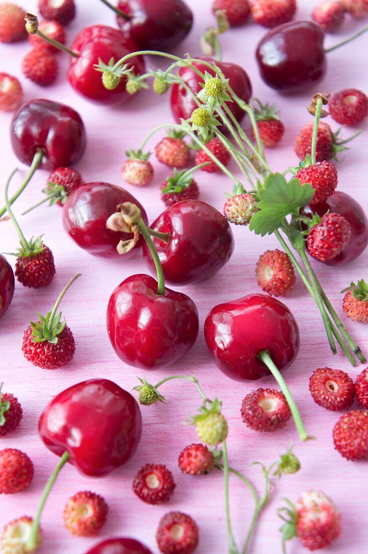 Cherries and wild strawberries