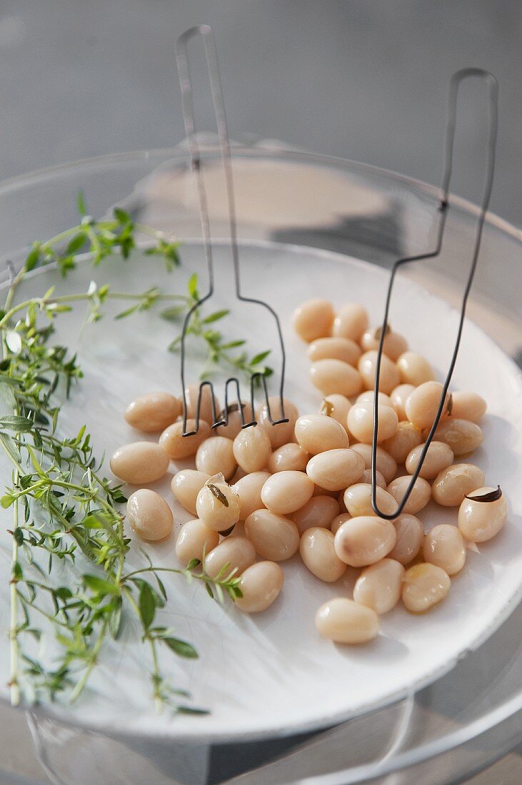 White beans with symbolic wire cutlery