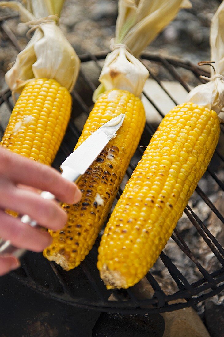 Corn cobs being spread with butter