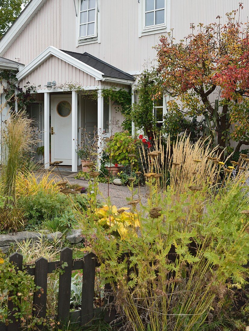 Autumnal herbaceous borders outside wooden house