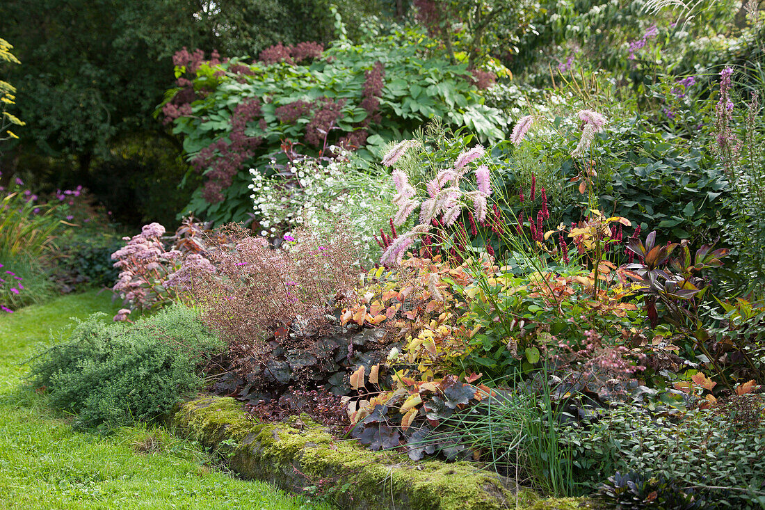 Various ornamental grasses in bed surrounded by low mossy wall in autumnal garden