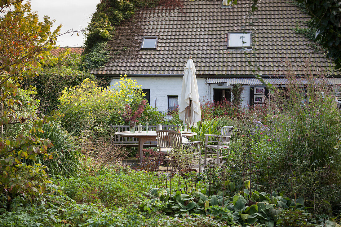 Wooden outdoor furniture on terrace in densely planted garden