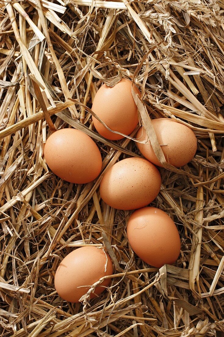 Brown eggs in straw