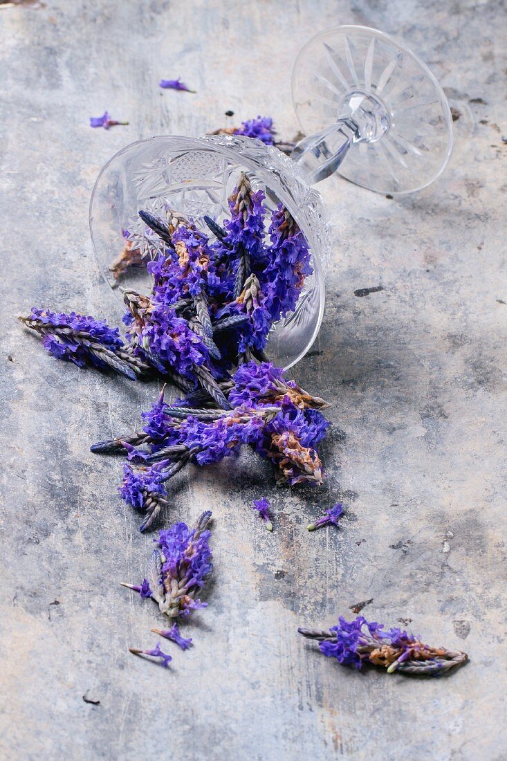 Lavender flowers falling from an overturned glass