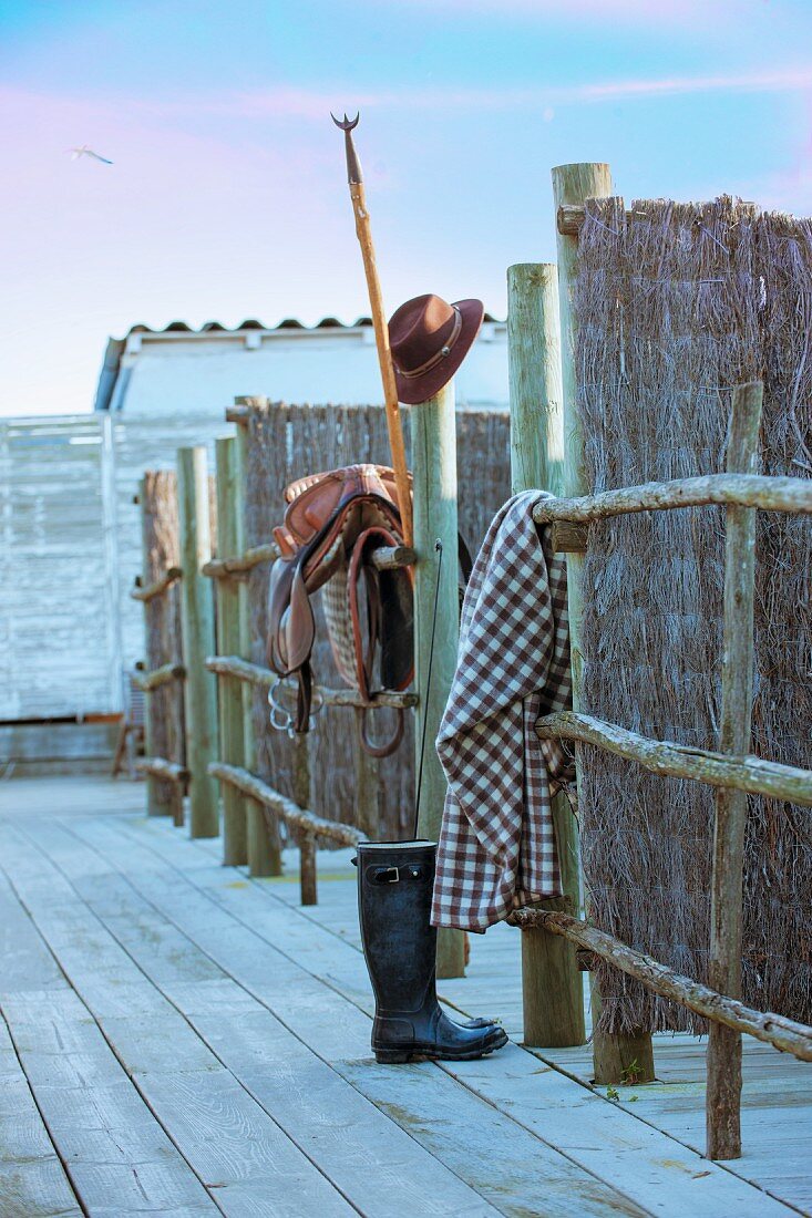 Horse tack on rustic fence