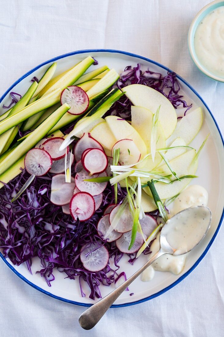 Rohkostsalat mit Rotkohl, Radieschen und Joghurtdressing