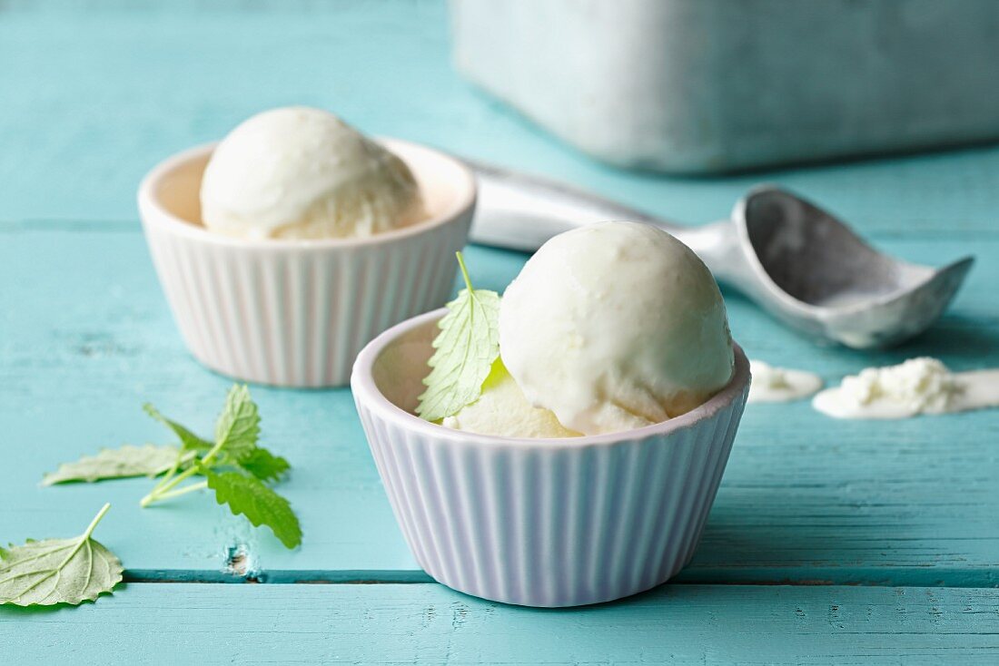Frozen buttermilk ice cream with fresh mint
