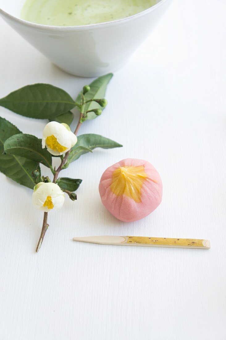 Wagashi Pflaume (Ume) neben blühendem Teeblätterzweig und Matchatee