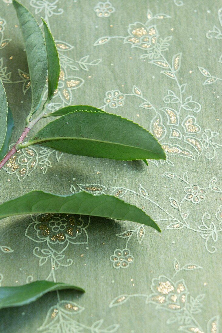 A sprig of tea leave on a green embroidered tablecloth
