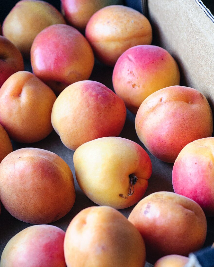 A crate of apricots
