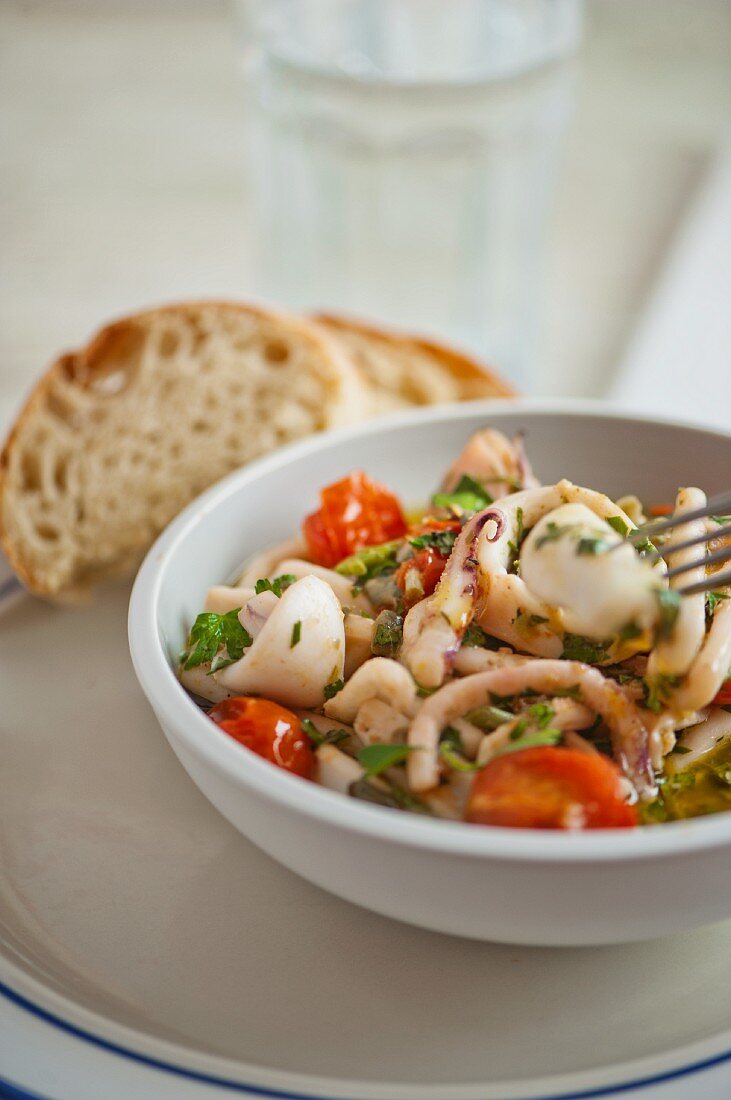 Squid salad with tomatoes, olive oil and herbs