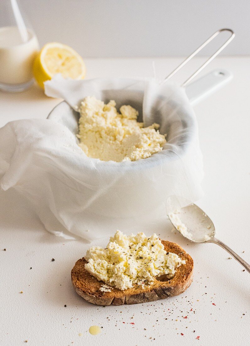 A sliced of toasted bread with homemade ricotta