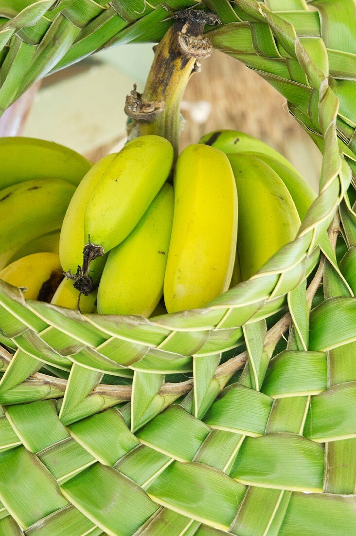 A bunch of bananas in a woven basket